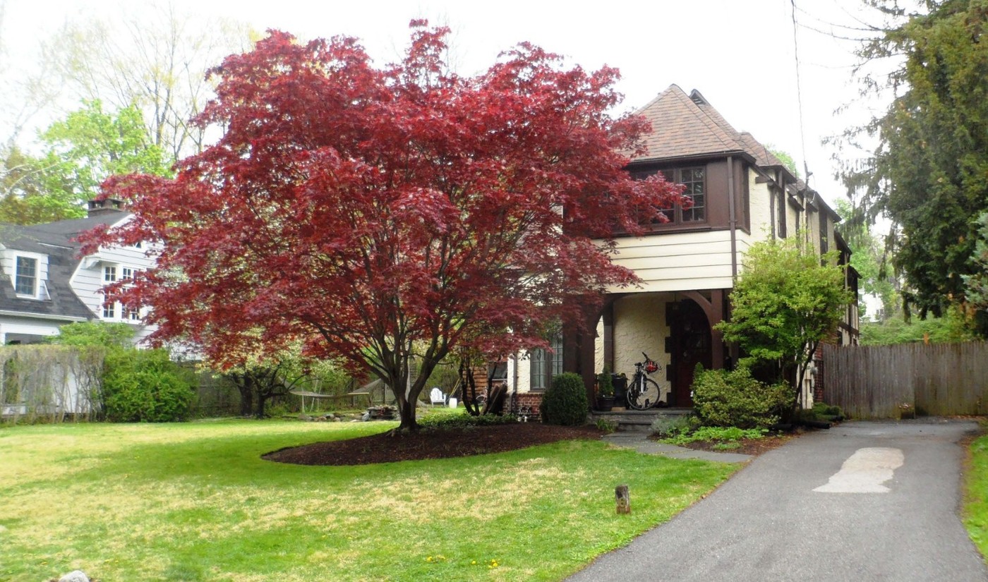 Detached Homes of the Glenwolde Park Historic District Clio